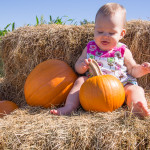 PumpkinPatchMaya02