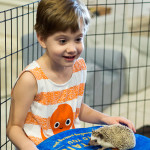 pettingzoo07
