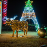20201205-IMG_0342
