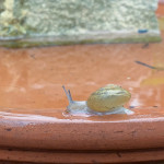 20210516-IMG_2898