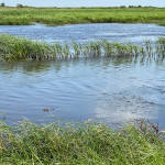20210618-IMG_6734