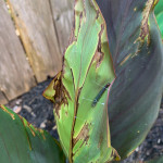 20210620-IMG_3123