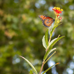 20210630-IMG_0781