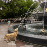 20220809 - 080 - IMG_2384