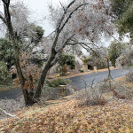 20230202 - 011 - IMG_6904